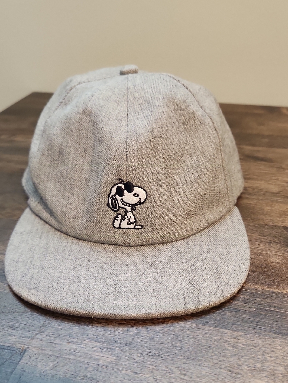 Snoopy Vans Embroidered Peanuts Hat